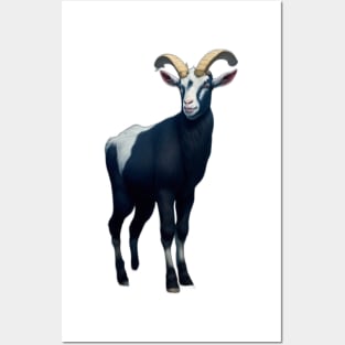 Goat Posters and Art